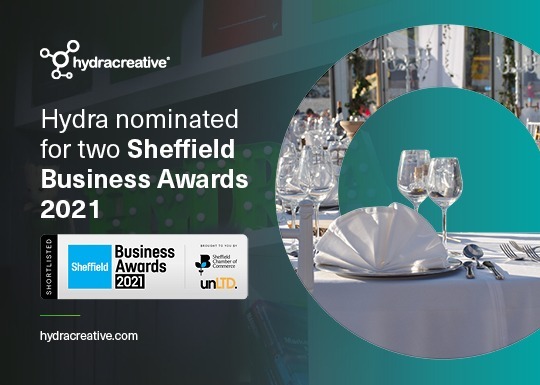 Sheffield Business Awards 2021 underlaid image